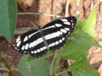 Photo by Opino Gomango